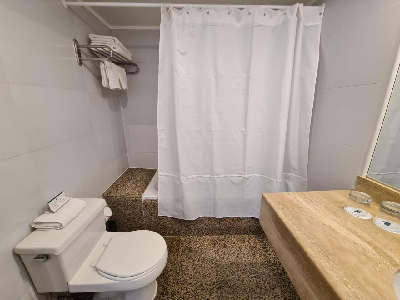 Hotel Leonardo Da Vinci Сантьяго Экстерьер фото